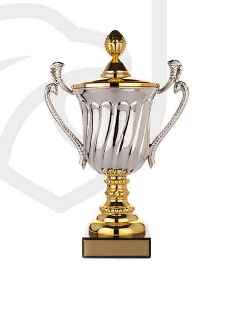 https://hzv-heiloo.nl/wp-content/uploads/2022/11/trophy_overlay_02.jpg